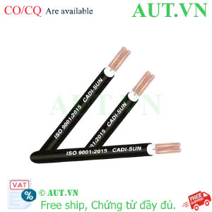 Ảnh của Dây cáp điện CXV 2x16 Cadisun Hỗ trợ giao hàng tận nơi