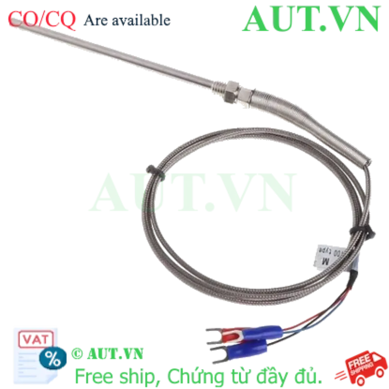 Ảnh của Dây dò nhiệt PT 1M SM-N-PT-06-0.1 (đầu dò 10cm)