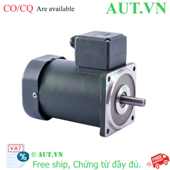 Ảnh của Động cơ điện 80YS-25W-DV22 25W 1 Pha 220V