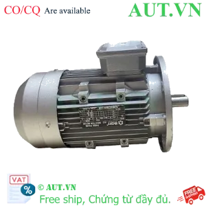 Ảnh của Motor Điện 3 Pha BGM MS-7124-4-B5 0.37kW - Mặt Bích B5, 4 Cực, Siêu Êm