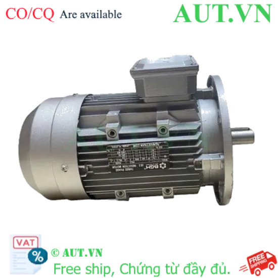 Ảnh của Motor Điện 3 Pha BGM MS-7124-4-B5 0.37kW | Mặt Bích B5, 4 Cực Hiệu Suất Cao
