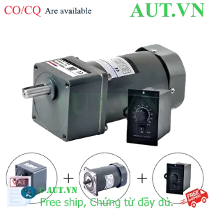 Ảnh của Motor giảm tốc mini 250W 1 Pha 220V (Có chỉnh tốc độ)