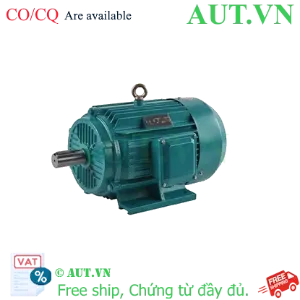 Ảnh của Motor điện YE2-200L-4-B3 30kW 3 Pha 1400v/p
