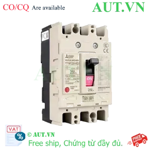 Ảnh của MCCB Mitsubishi NF250-HEV 3P 125-250A 75KA