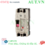 Ảnh của MCCB Mitsubishi NF250-HV 2P 225A 100KA