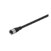 Ảnh của Cable cho cảm biến Autonics CID408-5