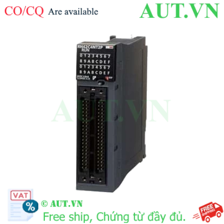 Ảnh của PLC Mitsubishi RH42C4NT2P