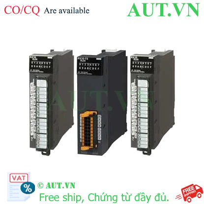 Ảnh của PLC Mitsubishi RX10-TS