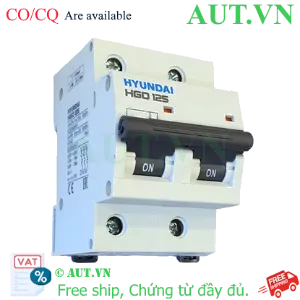 Ảnh của MCB Hyundai HGD125 2P 100A 10kA
