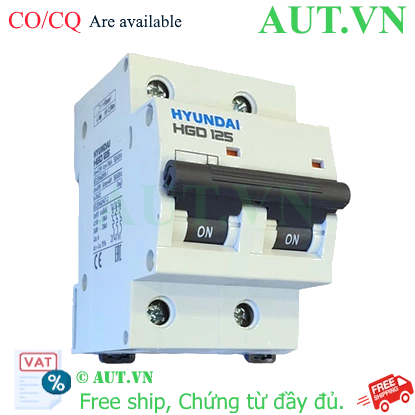 Ảnh của MCB Hyundai HGD125 2P 100A 10kA