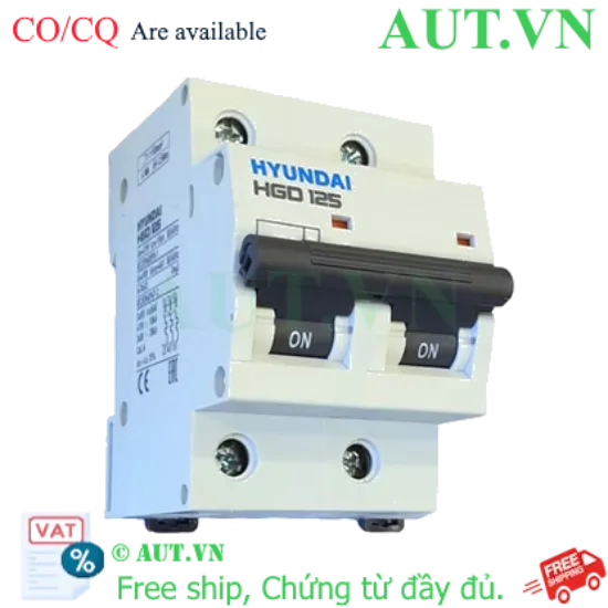 Ảnh của MCB Hyundai HGD125 2P 100A 10kA