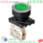 Ảnh của Công tắc nút nhấn Autonics S3PF-P1GBM