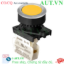 Ảnh của Công tắc nút nhấn Autonics S3PF-P1YB
