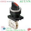 Ảnh của Công tắc nút nhấn Autonics S3SF-S1RBM