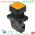 Ảnh của Công tắc nút nhấn Autonics L2RR-L4YDM
