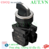 Ảnh của Công tắc nút nhấn Autonics S3SF-SBKW2AM