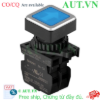 Ảnh của Công tắc nút nhấn Autonics SQ3PFS-P3BLAL