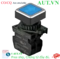 Ảnh của Công tắc nút nhấn Autonics SQ3PFS-P3BLAL