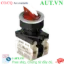 Ảnh của Công tắc nút nhấn Autonics S3SFN-LCR2BLM