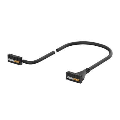 Ảnh của Cáp điều khiển Autonics CH20-HP010-D1T1L