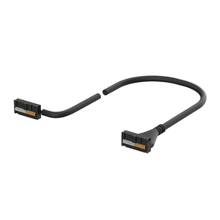 Ảnh của Cáp điều khiển Autonics CH20-HP010-D1T1L