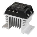 Ảnh của Relay bán dẫn Autonics SRH2-2430