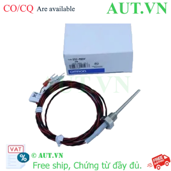 Ảnh của Cảm biến nhiệt độ Omron E52-P6DY 2M | Pt100 Chính Xác, Thép SUS304, -50...250°C