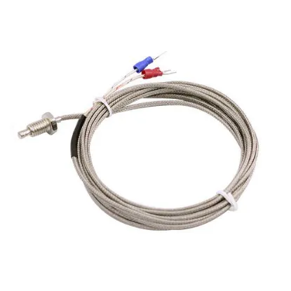 Ảnh của Dây dò nhiệt loại K SM-N-K-06 (đầu dò 1cm)