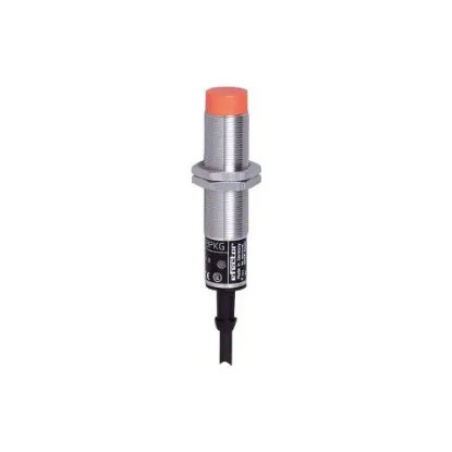 Ảnh của Cảm biến tiệm cận IFM IG0313