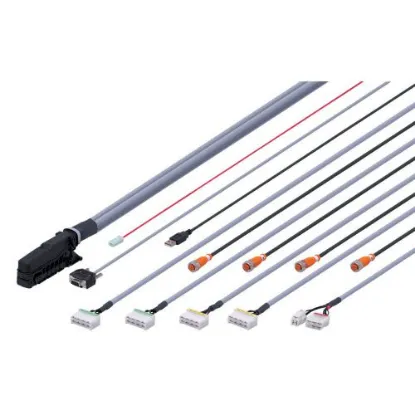 Ảnh của IFM EC2096