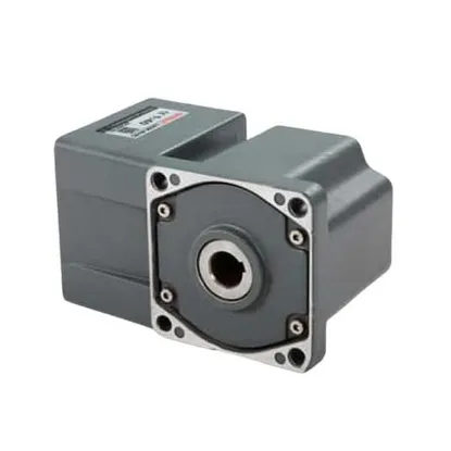 Ảnh của Hộp giảm tốc mini 100GF-120-RC 1/120 (12 Vòng/phút)