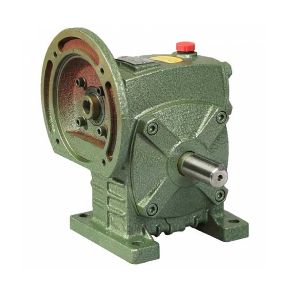 Ảnh của Hộp giảm tốc Trục Vít WPDS 135 1/50 (28 Vòng/phút)