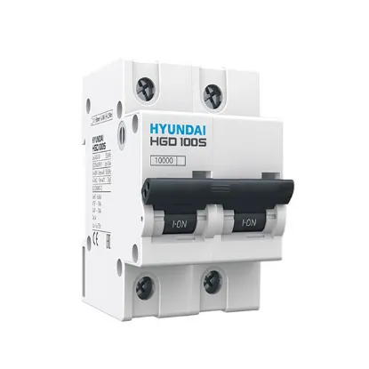 Ảnh của MCB Hyundai HGD100S 2P 100A 10kA