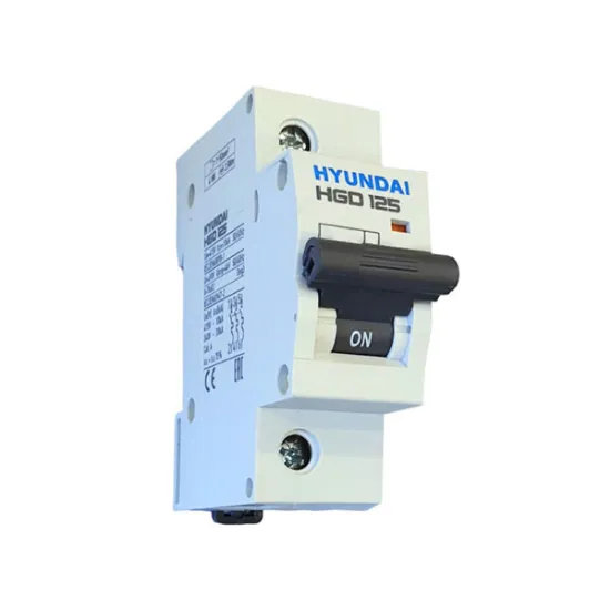 Ảnh của MCB Hyundai HGD125 1P 100A 10kA