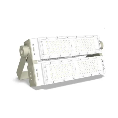 Ảnh của Đèn Pha LED Rạng Đông CP07 100W