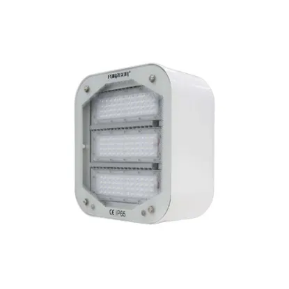 Ảnh của Đèn pha LED Paragon PUCG12065L 120W