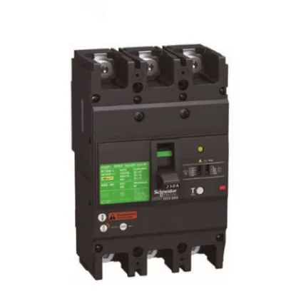 Ảnh của CB khối chống giật Schneider EZCV250H3080 80A 36kA 3P
