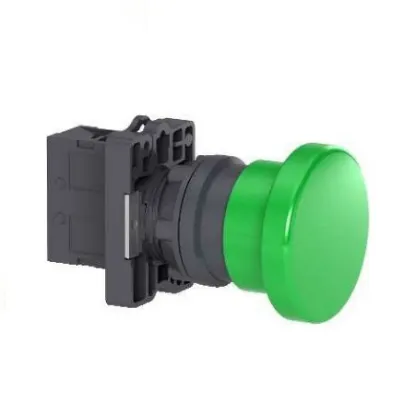 Ảnh của Nút nhấn nhả Schneider XA2EC31, 22mm