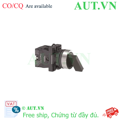 Ảnh của Công tắc xoay 2 vị trí Schneider XA2EJ25, 22mm (tự giữ)