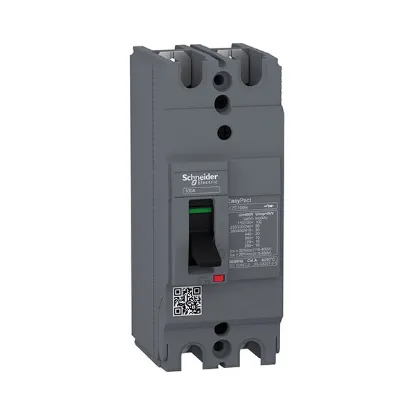 Ảnh của MCCB Schneider EZC100H2040