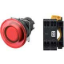 Ảnh của Công tắc nút nhấn Omron A22NL-BMA-TRA-P002-RB