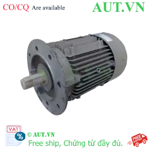 Ảnh của Động cơ lồng sóc 3 pha SIEMENS 1LA7096-4AA11-Z 