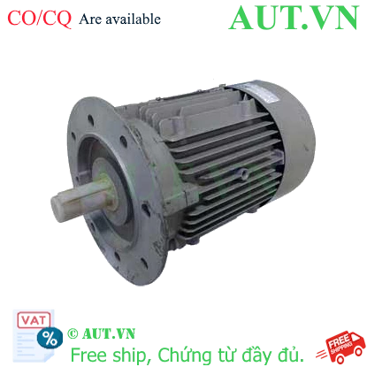 Ảnh của Động cơ lồng sóc 3 pha SIEMENS 1LA7096-4AA11-Z 