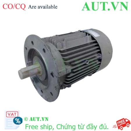 Ảnh của Động cơ lồng sóc 3 pha SIEMENS 1LA7096-4AA11-Z 