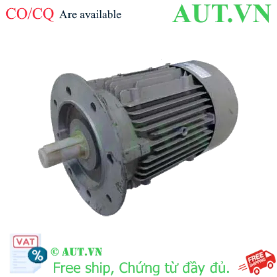 Ảnh của Động cơ lồng sóc 3 pha SIEMENS 1LA7096-4AA11-Z 