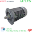 Ảnh của Động cơ lồng sóc 3 pha SIEMENS 1LA7096-4AA11-Z 