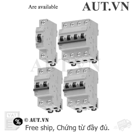 Ảnh của Aptomat cài 6kA SIEMENS 5TJ6306-7 