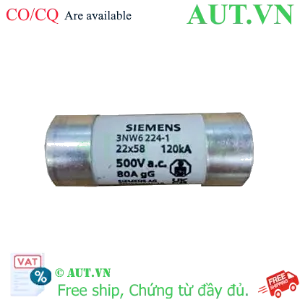 Ảnh của Cầu chì sứ hình trụ SIEMENS 3NW6224-1 