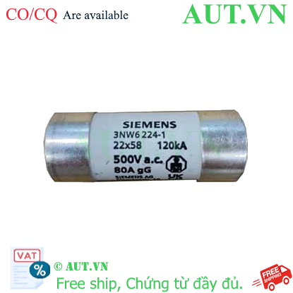 Ảnh của Cầu chì sứ hình trụ SIEMENS 3NW6224-1 