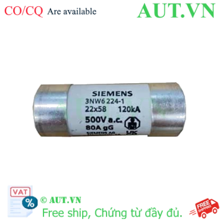 Ảnh của Cầu chì sứ hình trụ SIEMENS 3NW6224-1 